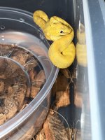 IMG_7545.jpeg