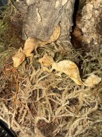 IMG_8351.jpeg