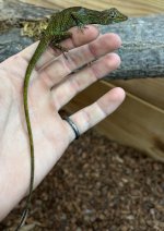 IMG_3181.jpeg