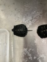 IMG_9588 Medium.jpeg