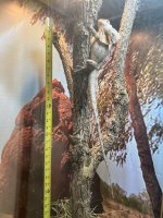 IMG_9675.jpeg