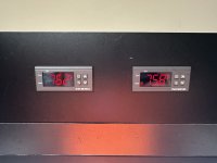 IMG_5478.jpeg