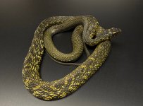 IMG_1384.jpeg