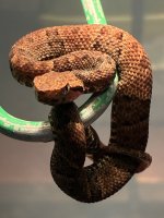 IMG_0763.jpeg