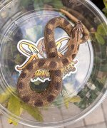 IMG_0955.jpeg