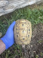 IMG_1931.jpeg