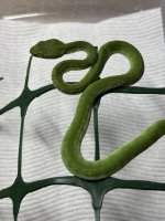 IMG_2895.jpeg