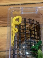 IMG_1979.jpeg