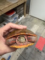 IMG_0210.jpeg