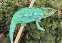 IMG_1680.jpeg