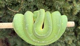 IMG_1695.jpeg