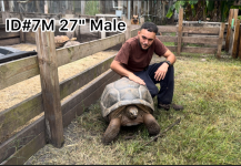 ID7M.png