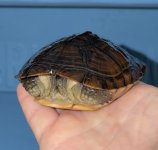 IMG_1369.jpeg