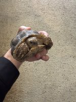 IMG_5918.jpeg