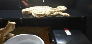 20251119_090555.jpg