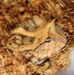 IMG_9447.jpeg