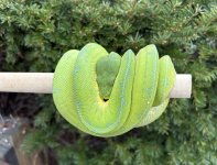 IMG_1856.jpeg