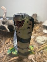 IMG_0899.jpeg