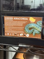 IMG_6645.jpeg