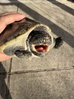 IMG_5574.jpeg
