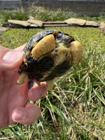 IMG_8074.jpeg