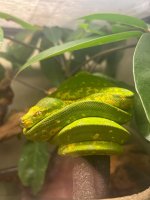 IMG_5048.jpeg