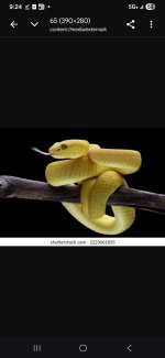 Screenshot_20260316_092426_Chrome.jpg