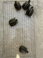 IMG_8670.jpeg