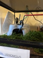 IMG_6717.jpeg