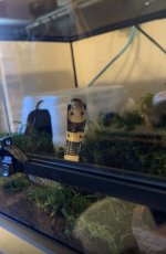 IMG_6702.jpeg