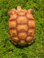 PXL_20260228_200847655.jpg