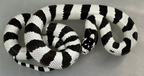 IMG_1540.jpeg