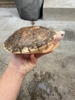 IMG_0266.jpeg