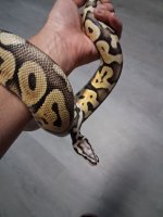 20260322_203028.jpg