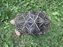 IMG_3709.jpeg