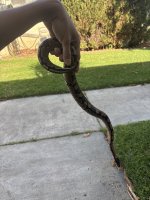 IMG_0010.jpeg