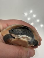 IMG_1648.jpeg