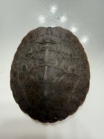 IMG_1647.jpeg