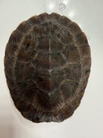 IMG_1644.jpeg