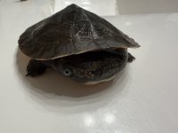 IMG_1642.jpeg