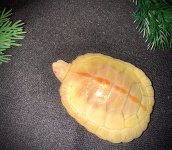 IMG_5593.jpeg