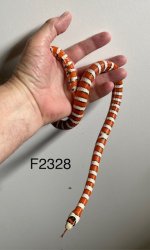 IMG_3019.jpeg