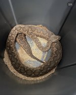 IMG_1446.jpeg