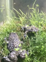 IMG_3176.jpeg