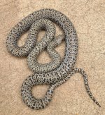 20260406_150741.jpg