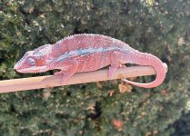 IMG_2564.jpeg