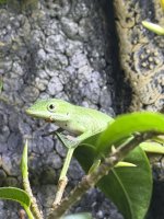 IMG_0709.jpeg