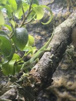 IMG_0703.jpeg