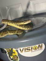 IMG_3901.jpeg