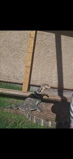 IMG_1993.jpeg